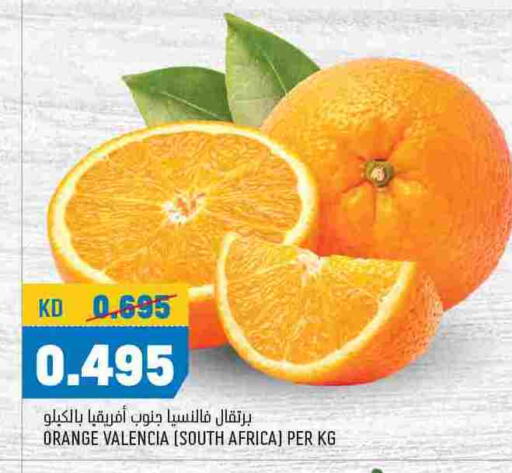 Orange from South Africa available at Oncost in Kuwait - Ahmadi Governorate