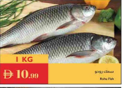 available at إسطنبول سوبرماركت in الإمارات العربية المتحدة , الامارات - الشارقة / عجمان