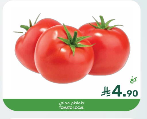 Tomato available at Mazaya in KSA, Saudi Arabia, Saudi - Dammam