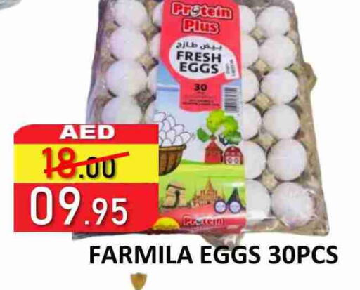 available at ROYAL GULF HYPERMARKET LLC in UAE - Abu Dhabi