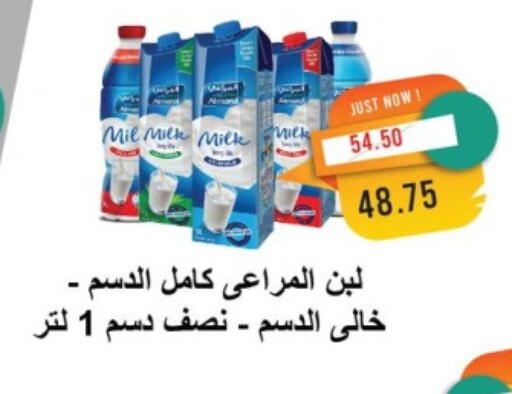 ALMARAI Laban available at Metro Market  in Egypt - Cairo
