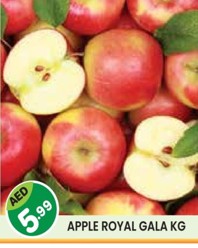 Apples available at Baniyas Spike  in UAE - Abu Dhabi