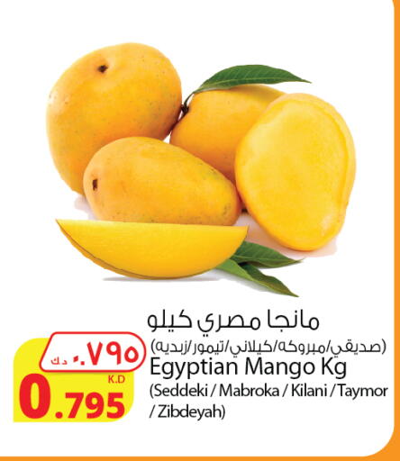 Mangoes from Egypt available at Agricultural Food Products Co. in Kuwait - Kuwait City