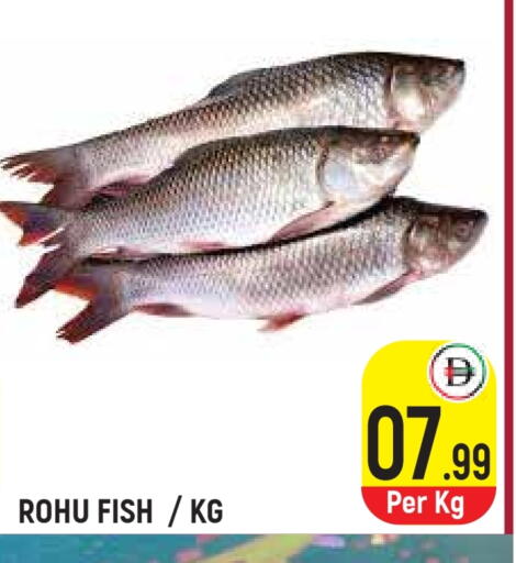 available at سنابل بني ياس in الإمارات العربية المتحدة , الامارات - أم القيوين‎