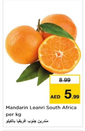 برتقال from South Africa available at لاست تشانس in الإمارات العربية المتحدة , الامارات - ٱلْفُجَيْرَة‎