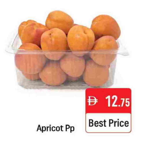 Apricot Mango available at Mango Hypermarket LLC in UAE - Dubai
