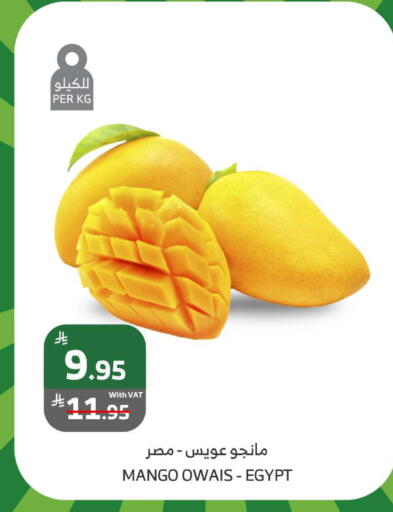 Mangoes from Egypt available at Al Raya in KSA, Saudi Arabia, Saudi - Medina