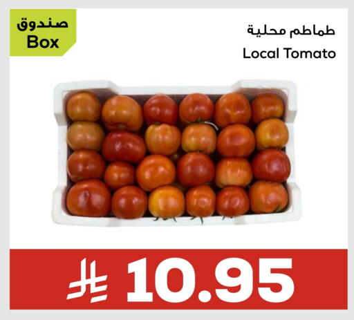 Tomato available at Astra Markets in KSA, Saudi Arabia, Saudi - Tabuk