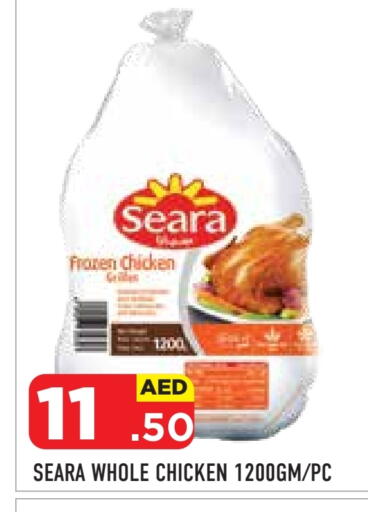SEARA Frozen Whole Chicken available at Baniyas Spike  in UAE - Abu Dhabi