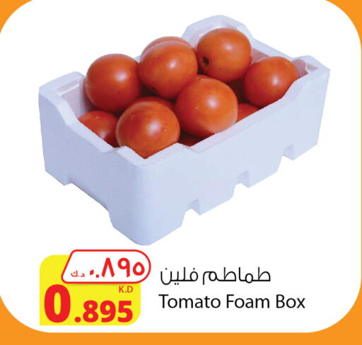 Tomato available at Agricultural Food Products Co. in Kuwait - Kuwait City