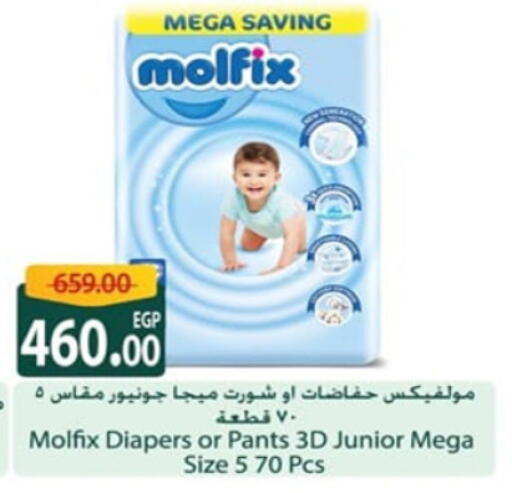MOLFIX available at Spinneys  in Egypt - Cairo