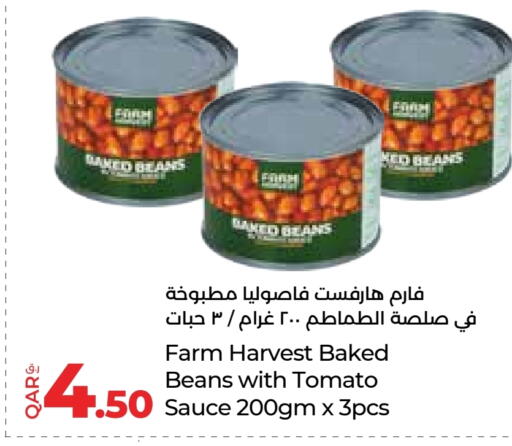 فاصوليا مخبوزة available at لولو هايبرماركت in قطر - الضعاين