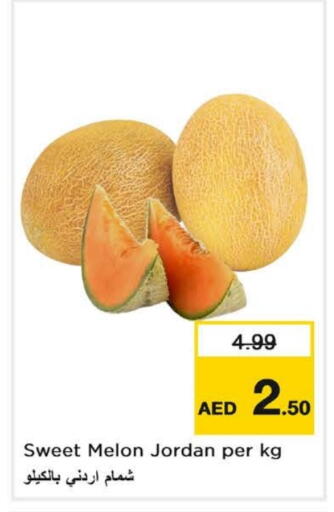 شمام from Jordan available at لاست تشانس in الإمارات العربية المتحدة , الامارات - ٱلْفُجَيْرَة‎
