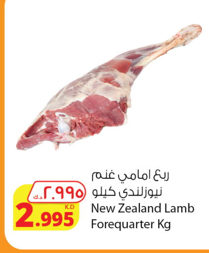 لحم الضأن / الغنم available at شركة المنتجات الزراعية الغذائية in الكويت - محافظة الجهراء