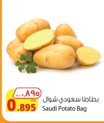 Potato from Saudi Arabia available at Agricultural Food Products Co. in Kuwait - Jahra Governorate