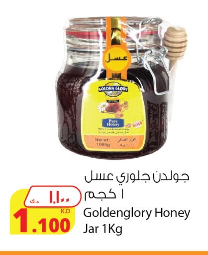 عسل available at شركة المنتجات الزراعية الغذائية in الكويت - محافظة الجهراء