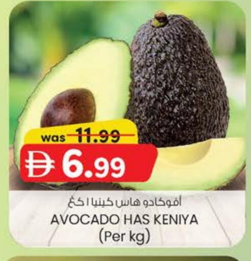 أفوكادو available at صفا اكسبريس سوبرماركت in الإمارات العربية المتحدة , الامارات - أبو ظبي