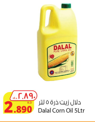 DALAL Corn Oil available at Agricultural Food Products Co. in Kuwait - Ahmadi Governorate
