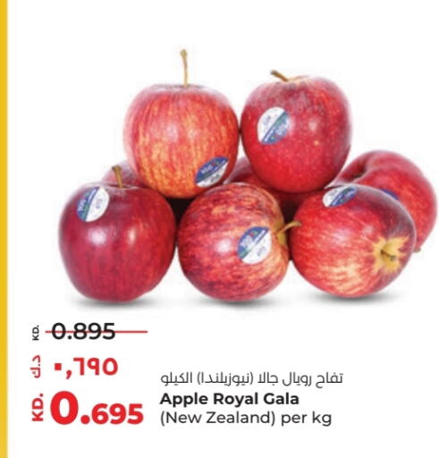 Apples from New Zealand available at Lulu Hypermarket  in Kuwait - Kuwait City