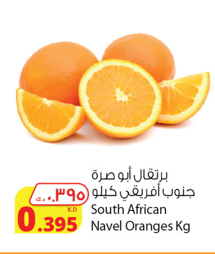 Orange from South Africa available at Agricultural Food Products Co. in Kuwait - Ahmadi Governorate