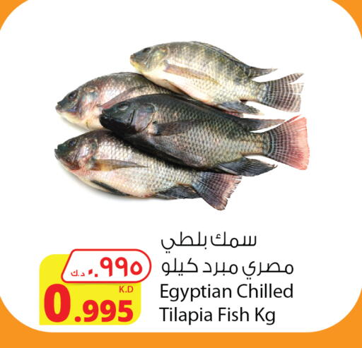 available at شركة المنتجات الزراعية الغذائية in الكويت - مدينة الكويت