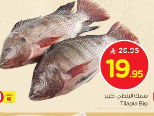available at نستو in مملكة العربية السعودية, السعودية, سعودية - الرياض