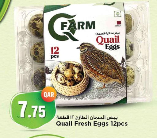 available at مرزا هايبرماركت in قطر - الدوحة
