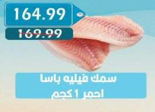 available at Euromarche in Egypt - Cairo