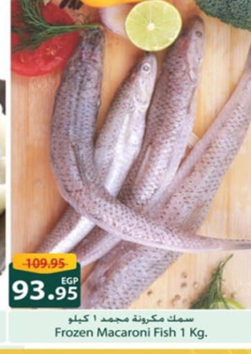 available at سبينس in Egypt - القاهرة