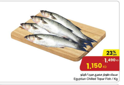 available at مركز سلطان in الكويت - مدينة الكويت