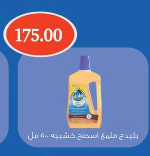 PLEDGE available at Othaim Market   in Egypt - Cairo