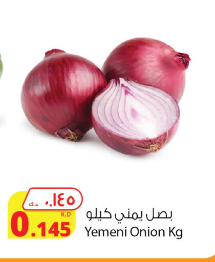 بصل from Yemen available at شركة المنتجات الزراعية الغذائية in الكويت - محافظة الجهراء