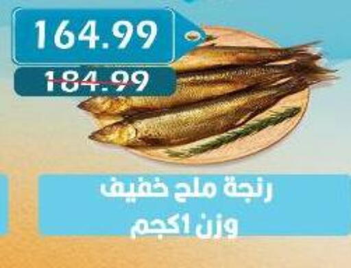 available at يورومارشيه in Egypt - القاهرة
