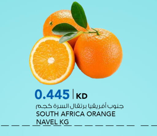 Orange from South Africa available at  ALNASSER HYPERMARKET in Kuwait - Ahmadi Governorate