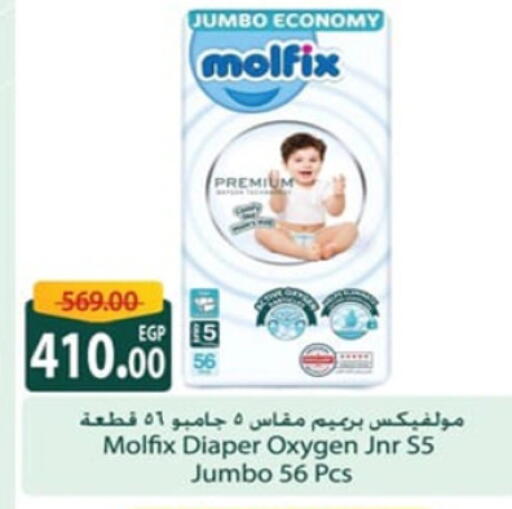 MOLFIX available at Spinneys  in Egypt - Cairo