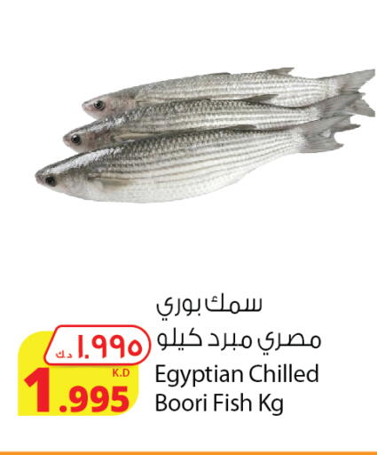 available at شركة المنتجات الزراعية الغذائية in الكويت - مدينة الكويت