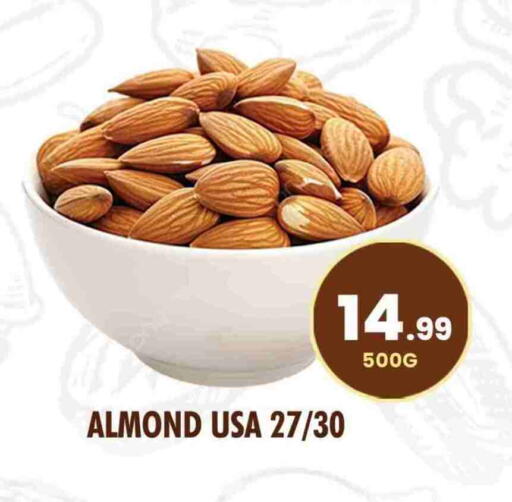 available at NIGHT TO NIGHT DEPARTMENT STORE in UAE - Sharjah / Ajman