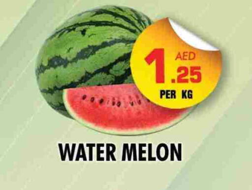 Watermelon available at NIGHT TO NIGHT DEPARTMENT STORE in UAE - Dubai