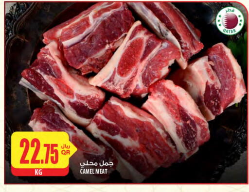 لحم حاشي available at شركة الميرة للمواد الاستهلاكية in قطر - الدوحة