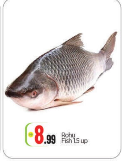 available at بيج مارت in الإمارات العربية المتحدة , الامارات - أبو ظبي