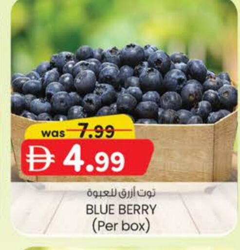 توت available at ك. الم. للتجارة in الإمارات العربية المتحدة , الامارات - ٱلْفُجَيْرَة‎