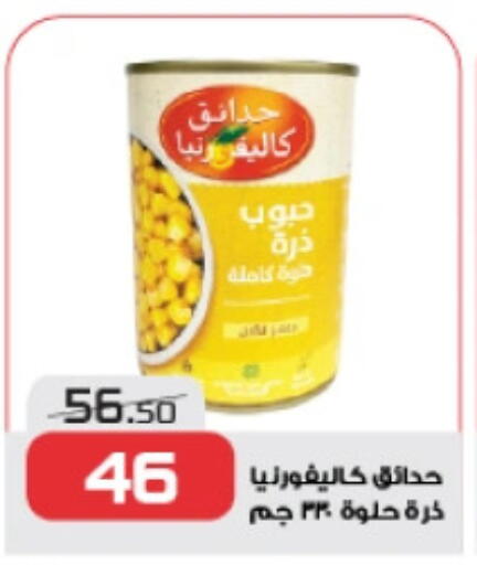CALIFORNIA GARDEN available at  Zahran Market in Egypt - Cairo
