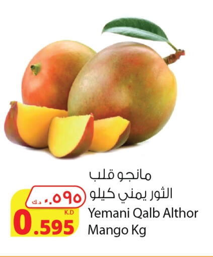 Mangoes available at Agricultural Food Products Co. in Kuwait - Kuwait City