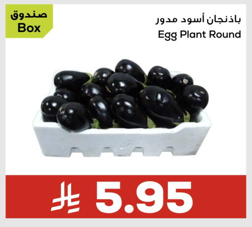 available at أسواق أسترا in مملكة العربية السعودية, السعودية, سعودية - تبوك
