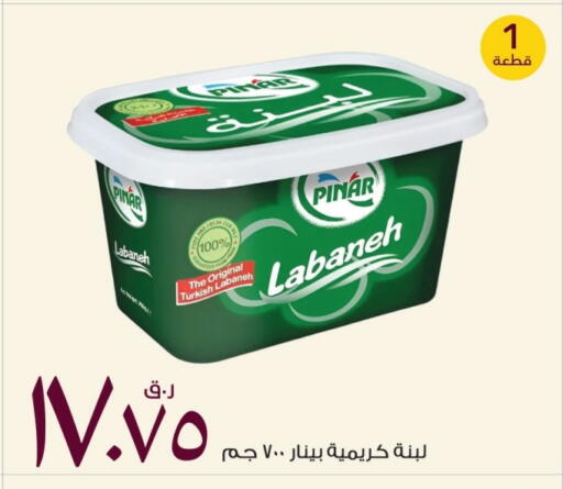 بينار لبنة available at روابي هايبرماركت in قطر - الشحانية