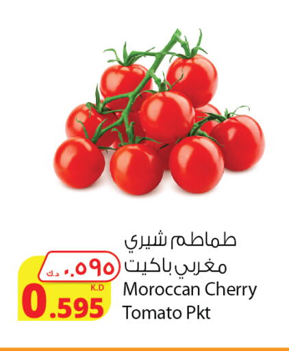 Tomato from Morocco available at Agricultural Food Products Co. in Kuwait - Kuwait City