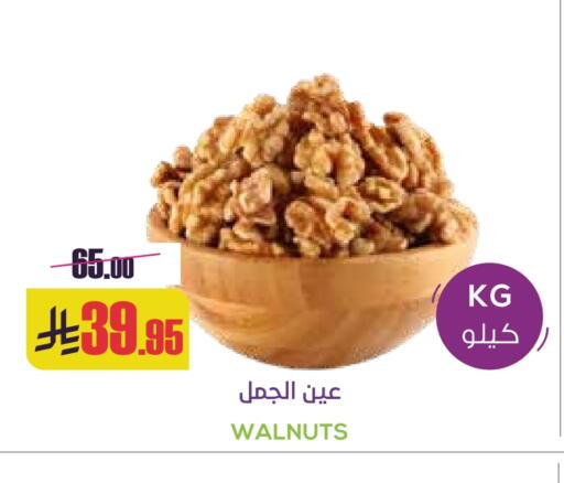 available at Sapt in KSA, Saudi Arabia, Saudi - Buraidah