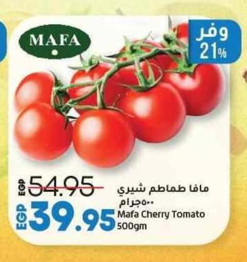 Cherry Cherry tomato available at لولو هايبرماركت in Egypt - القاهرة