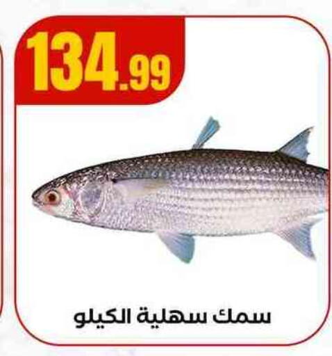 available at مارت فيل in Egypt - القاهرة
