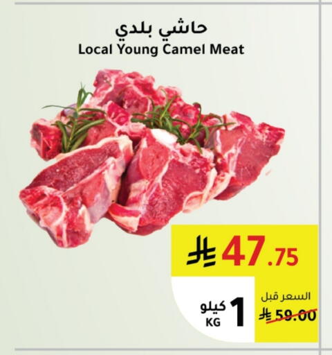 لحم حاشي available at الهاجري الأغذية in مملكة العربية السعودية, السعودية, سعودية - أبها